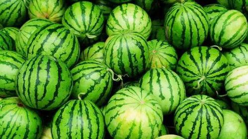 网爆热门吃瓜,揭秘娱乐圈最新热点事件！