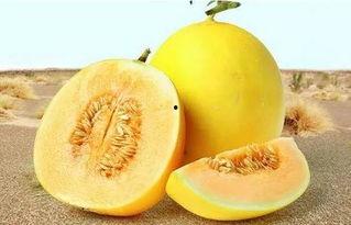 166. su吃瓜网,网络舆论场的新势力